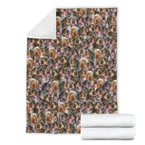 Wirehaired Pointing Griffon Full Face Blanket