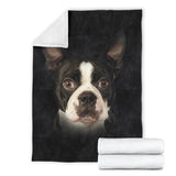 Boston Terrier Face Hair Blanket