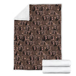 Irish Water Spaniel Full Face Blanket