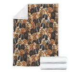 English Cocker Spaniel 2 Full Face Blanket