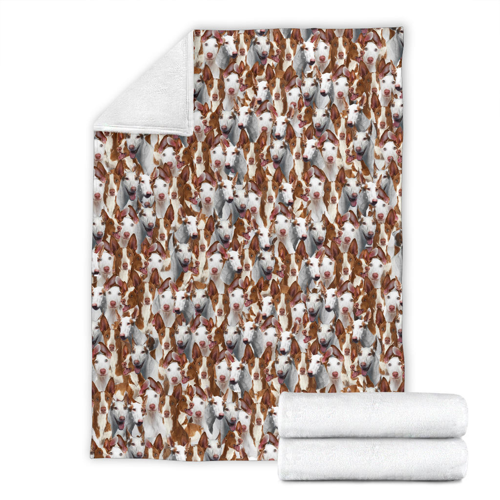 Ibizan Hound Full Face Blanket