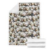 Dandie Dinmont Terrier Full Face Blanket