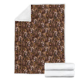 Field Spaniel Full Face Blanket