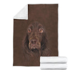 Field Spaniel Face Hair Blanket