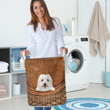 Coton De Tulear - Rattan - LB