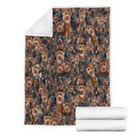 Doberman Pinscher Full Face Blanket