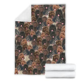 Portuguese Water Dog Full Face Blanket