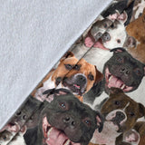 Staffordshire Bull Terrier Full Face Blanket