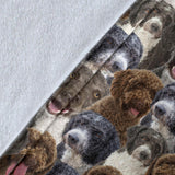 Spanish Water Dog Full Face Blanket