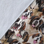 St Bernard Full Face Blanket