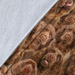 Sussex Spaniel Full Face Blanket