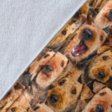 Airedale Terrier Full Face Blanket