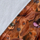 Redbone Coonhound Full Face Blanket