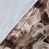 Weimaraner Full Face Blanket