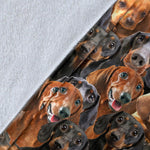 Dachshund Full Face Blanket