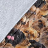 Brussels Griffon Full Face Blanket