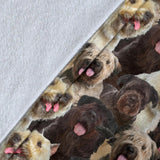 Bouvier des Flandres Full Face Blanket