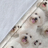 Bichon Frise Full Face Blanket