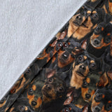 Miniature Pinscher Full Face Blanket