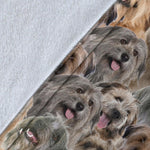 Pyrenean Shepherd Full Face Blanket