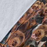 Doberman Pinscher Full Face Blanket