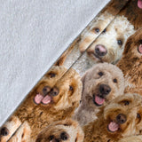 Goldendoodle Full Face Blanket