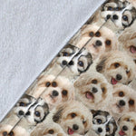 Cavachon Full Face Blanket