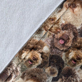 Lagotto Romagnolo 2 Full Face Blanket