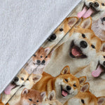 Shiba Inu Full Face Blanket