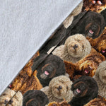 Barbet 2 Full Face Blanket