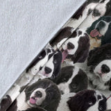 Landseer 2 Full Face Blanket