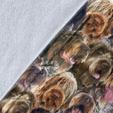 Wirehaired Pointing Griffon Full Face Blanket