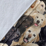 Labrador Retriever Full Face Blanket