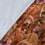 Vizsla Full Face Blanket