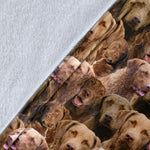 Chesapeake Bay Retriever Full Face Blanket