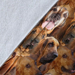 Bloodhound Full Face Blanket