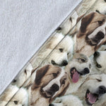 Pyrenean Mastiff Full Face Blanket