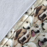 Pyrenean Mastiff Full Face Blanket