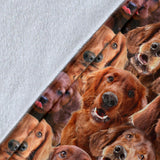 Irish Setter Full Face Blanket