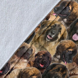 Leonberger Full Face Blanket